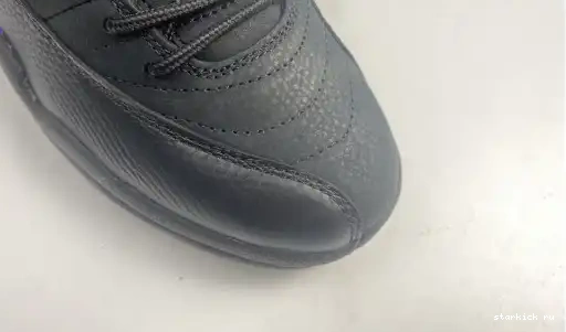 Air CT8013-005 Retro Jordan 12 CT8013-005 Black Dark Concord 0417